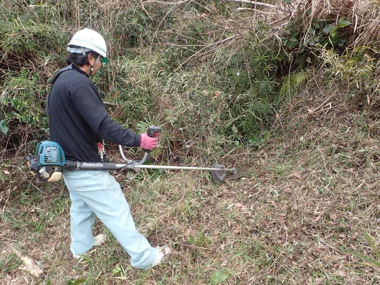 広域農道_20240201_草刈り